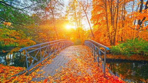 Fall .